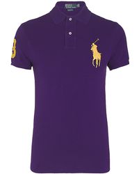 Polo Ralph Lauren Big And Tall Diagonal-Stripe Polo in Purple for Men ...