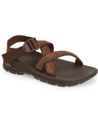 fitflops shoes earthworms