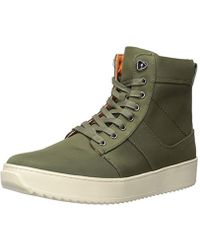 steve madden aced