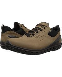 ecco biom venture gtx birch
