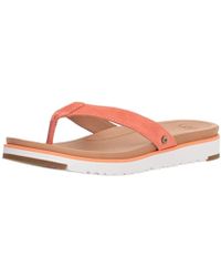ugg women's lorrie flip flop ugg women's lorrie flip flop
