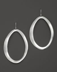 ippolita