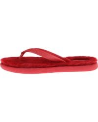 fitflop flare koi