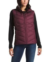 the north face alpz down vest