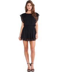 Boulee Dresses