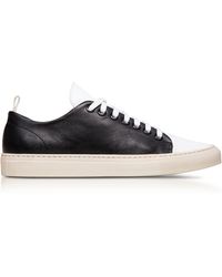 ralph lauren cadoc trainers