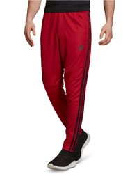 red adidas soccer pants
