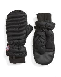 Canada Goose kids sale authentic - Shop Women's Canada Goose Gloves | Lyst