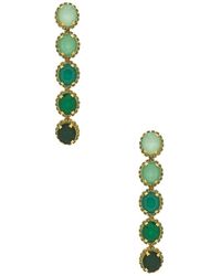 Lyst Elizabeth Cole Paulina Parrot Earring Elizabeth Cole Von Earring Lyst