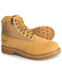 chippewa cutter snake boots