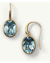 Women S Tommy Bahama Earrings