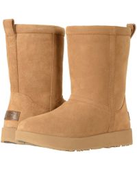 ugg classic short chestnut ugg classic short chestnut