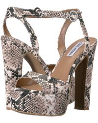 steve madden skyla