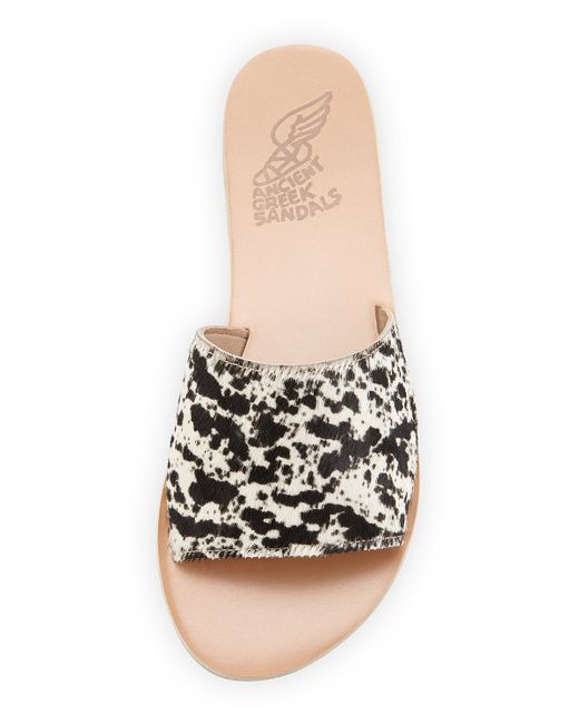 kork ease lapra