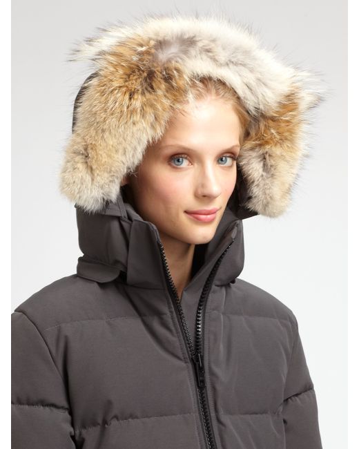 canada goose BRITTANIA zimowa canada goose BRITTANIA zimowa