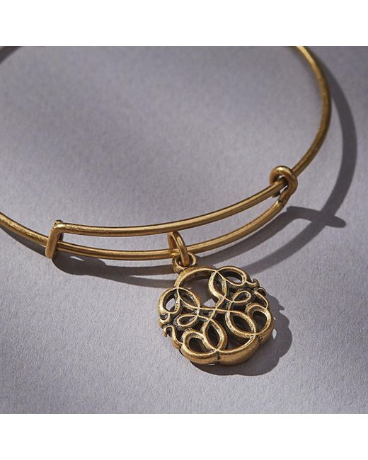 Lyst Alex And Ani Path Of Life Charm Bangle In Metallic Alex And Ani Metallic Path Of Life Charm Bangle Lyst