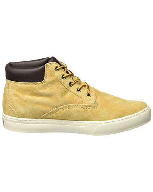 timberland dauset chukka wheat