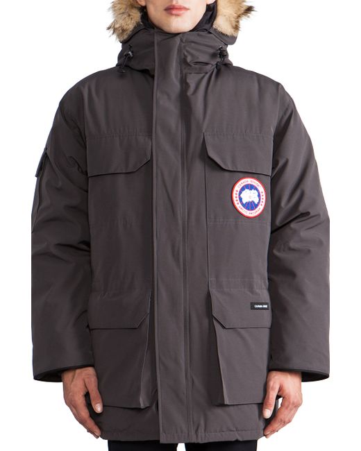 Canada Goose womens outlet official - Canada goose Expedition Parka With Coyote Fur Collar in Gray for ...