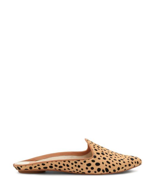 dolce vita leopard mules