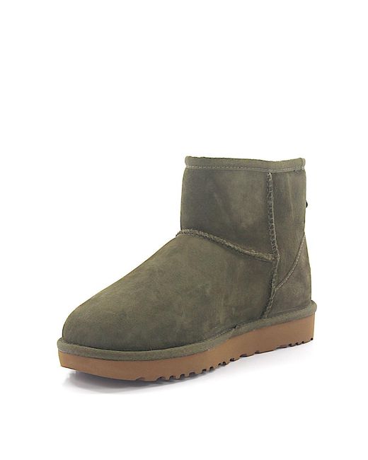 olive green classic uggs