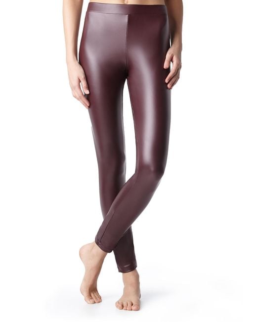 Leather Effect Leggings Calzedonia Swimwear  International Society of  Precision Agriculture