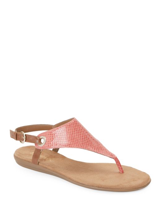 Aerosoles Coral & Tan Snake Embossed Conchlusion Thong Sandals in Pink (Coral Tan) | Lyst