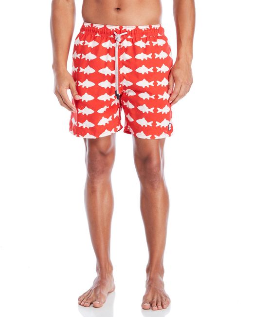tom and teddy swim trunks