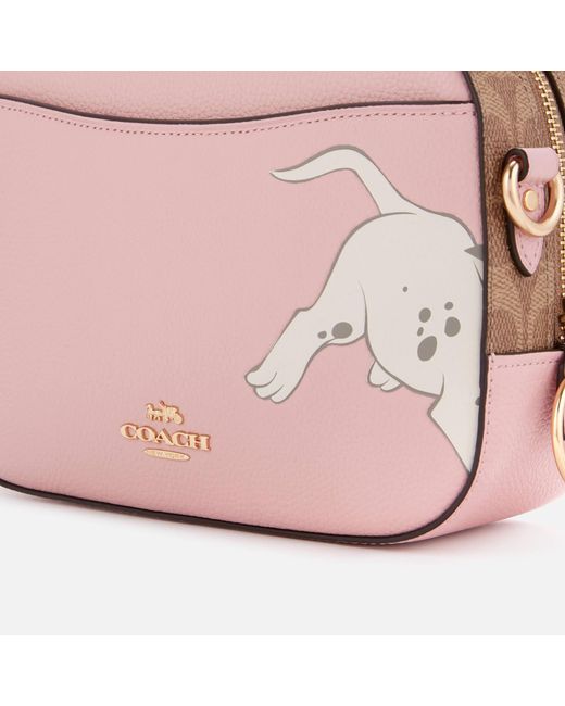 disney x coach camera bag