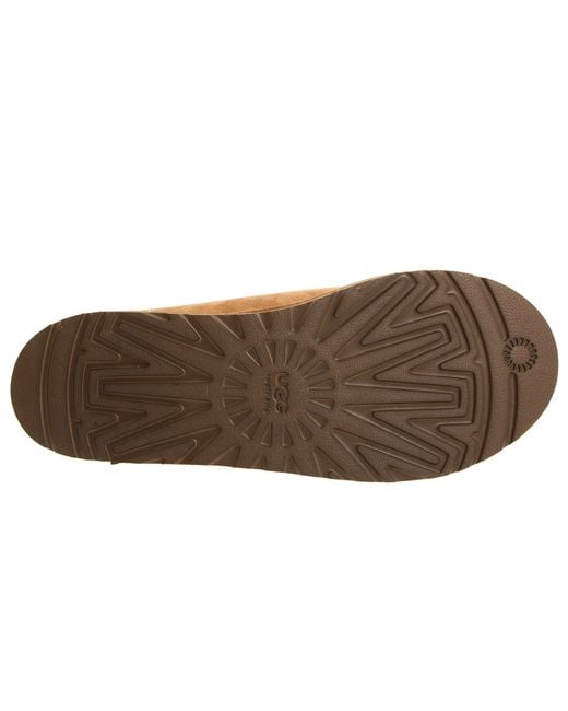 brown tasman uggs brown tasman uggs
