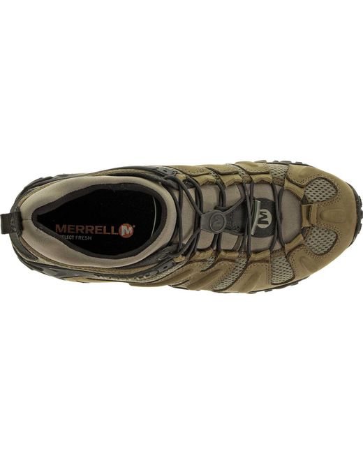 merrell men's chameleon prime stretch hiking shoe