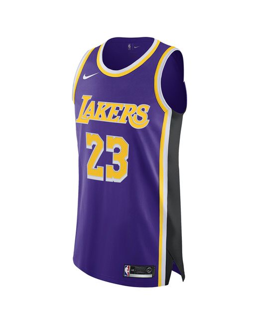 Nike Lebron James Nba Authentic Jersey in Purple for Men ...