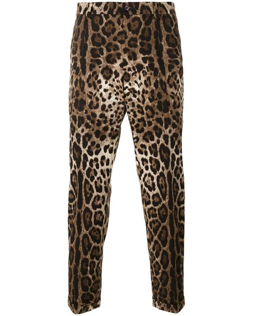 Dolce & gabbana Leopard Print Trousers in Brown for Men | Lyst