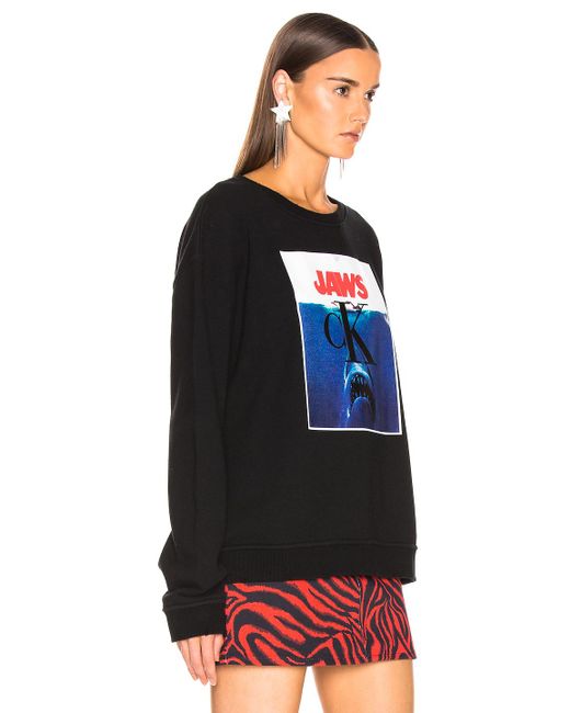 calvin klein jaws sweater