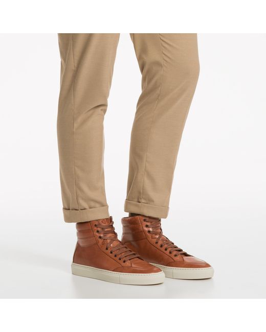 koio primo mocha