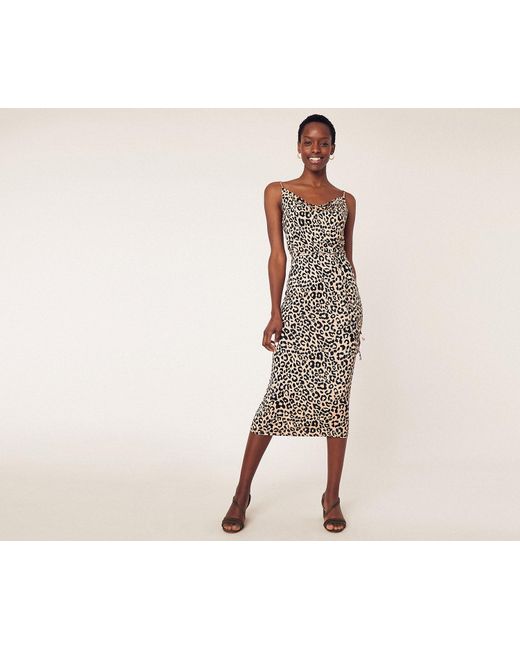 oasis leopard midi dress