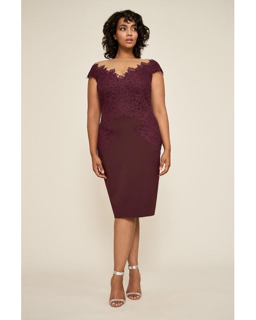 Plus Size Purple Cocktail Dress