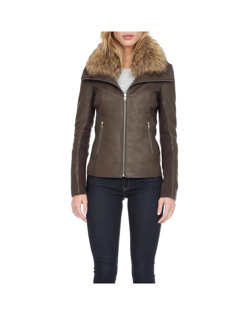 Wilsons Leather Soia Kyo Jacket W Rac Fur Collar In Wilsons Leather Gray Soia Kyo Jacket W Rac Fur Collar Lyst