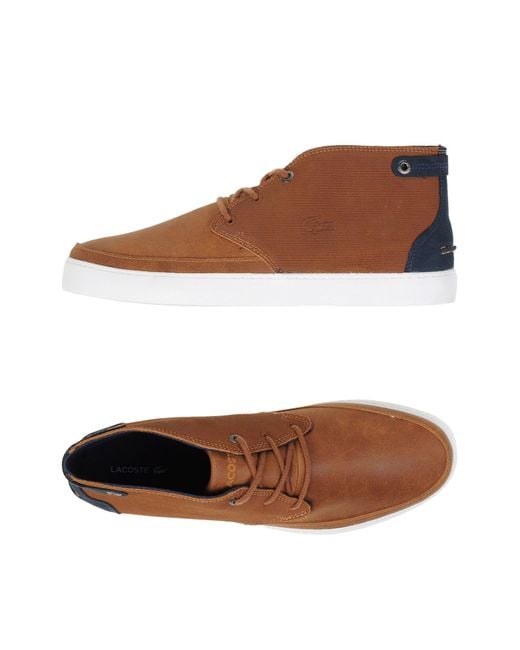 Lacoste High-tops & Sneakers in Brown for Men | Lyst