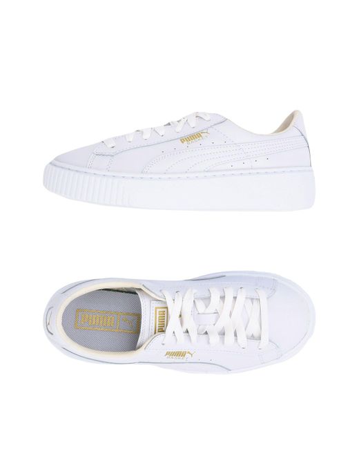 Puma Low-tops & Sneakers in White | Lyst