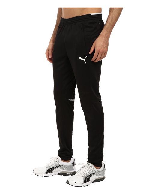 puma training pants