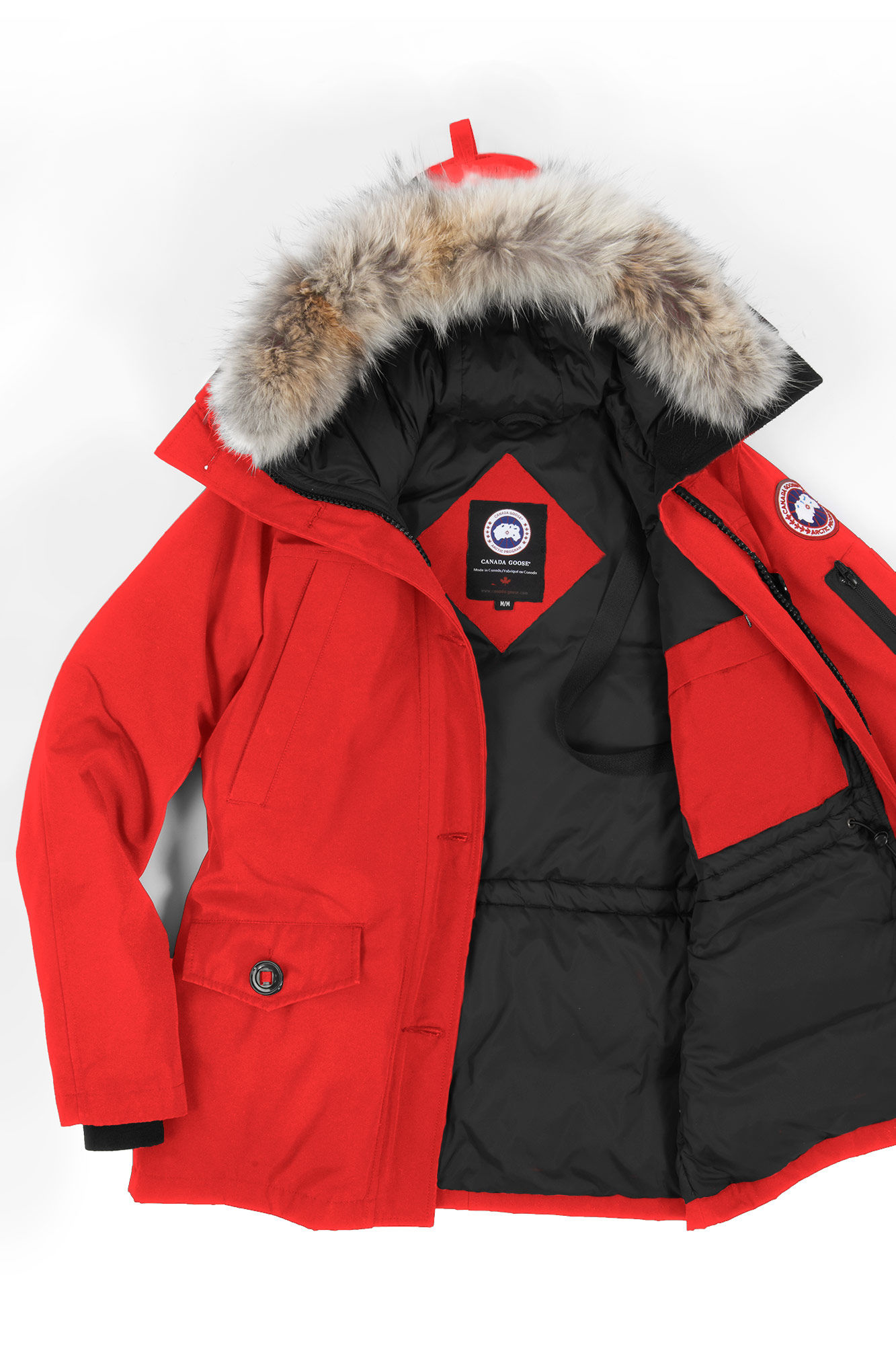canada goose torch canada goose torch