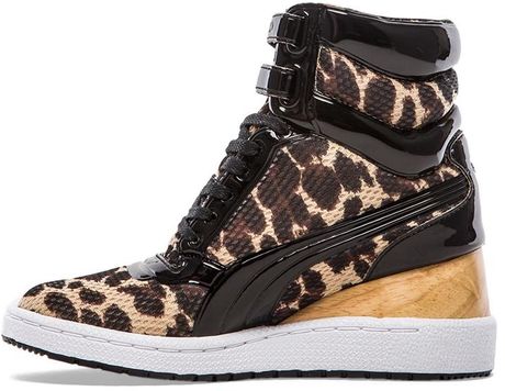 Puma X Miharayasuhiro My77 Leopard Sneaker in Animal (Curds & Whey) | Lyst