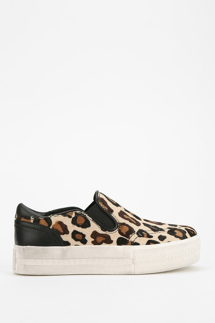 ash leopard sneakers