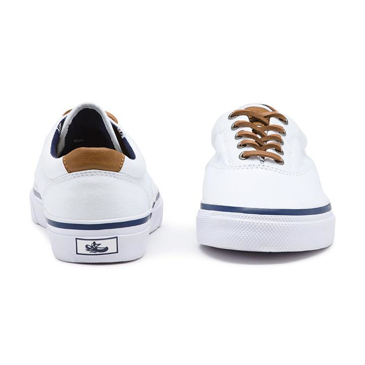 sneaker bass