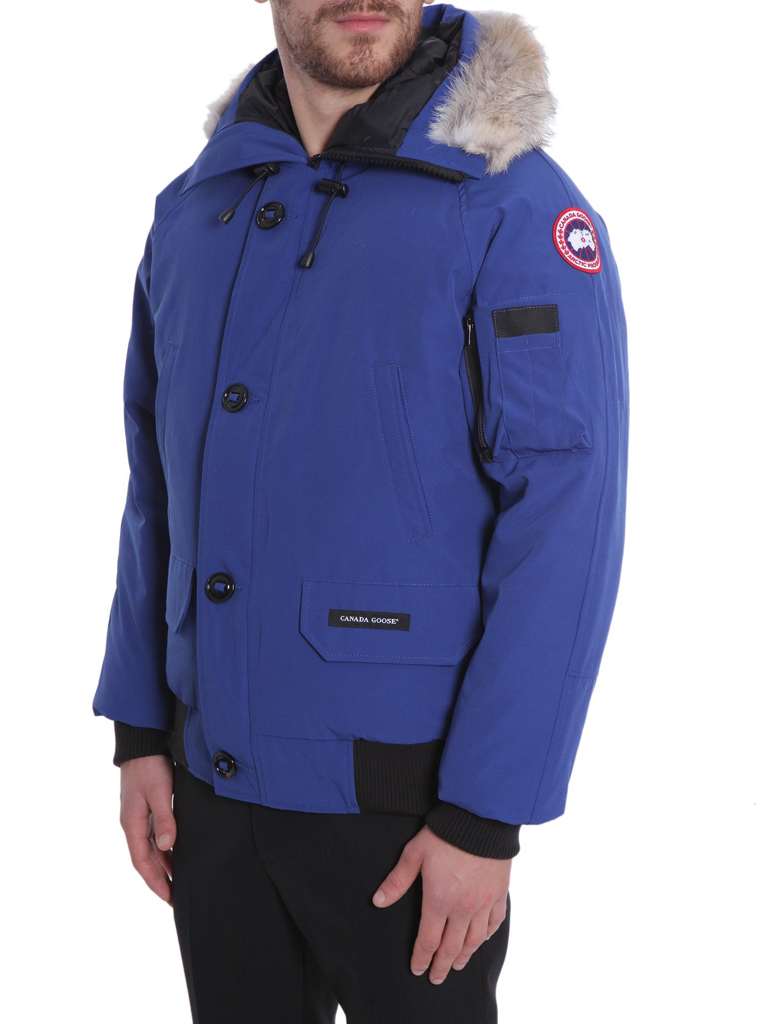 canada goose branta windermere canada goose branta windermere