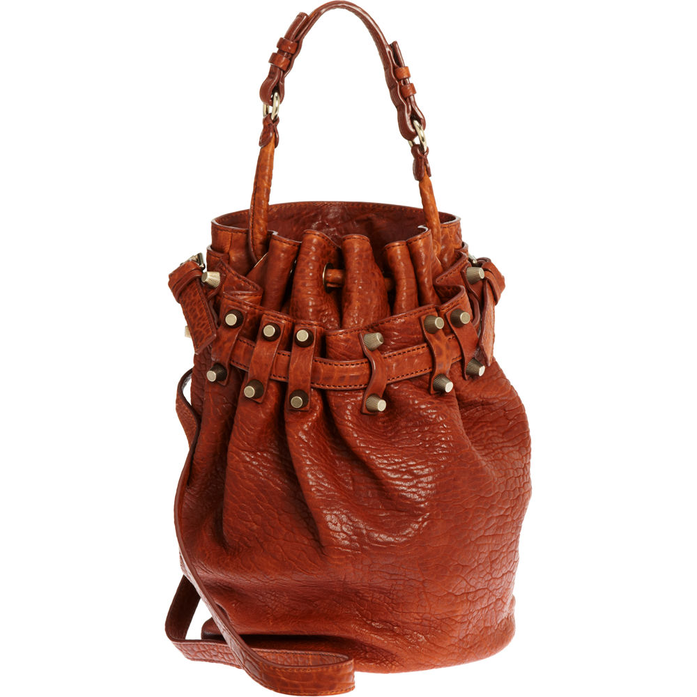 Alexander Wang Diego Bucket Bag in Brown | Lyst