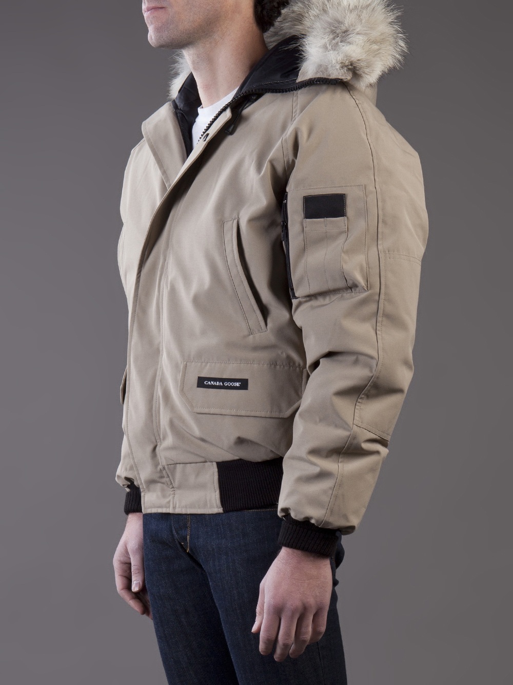 canada goose BOMBERJACKE BEIGE canada goose BOMBERJACKE BEIGE