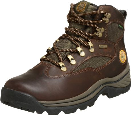 Timberland Chocorua Trail Gore-tex Mid Hiking Boot in Brown for Men | Lyst