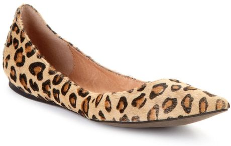 Steven By Steve Madden Eternnal Pointed Toe Flat in Animal (leopard) | Lyst