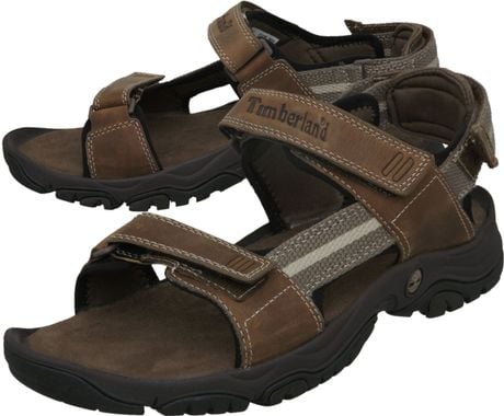 Timberland Sports sandals in Brown for Men | Lyst